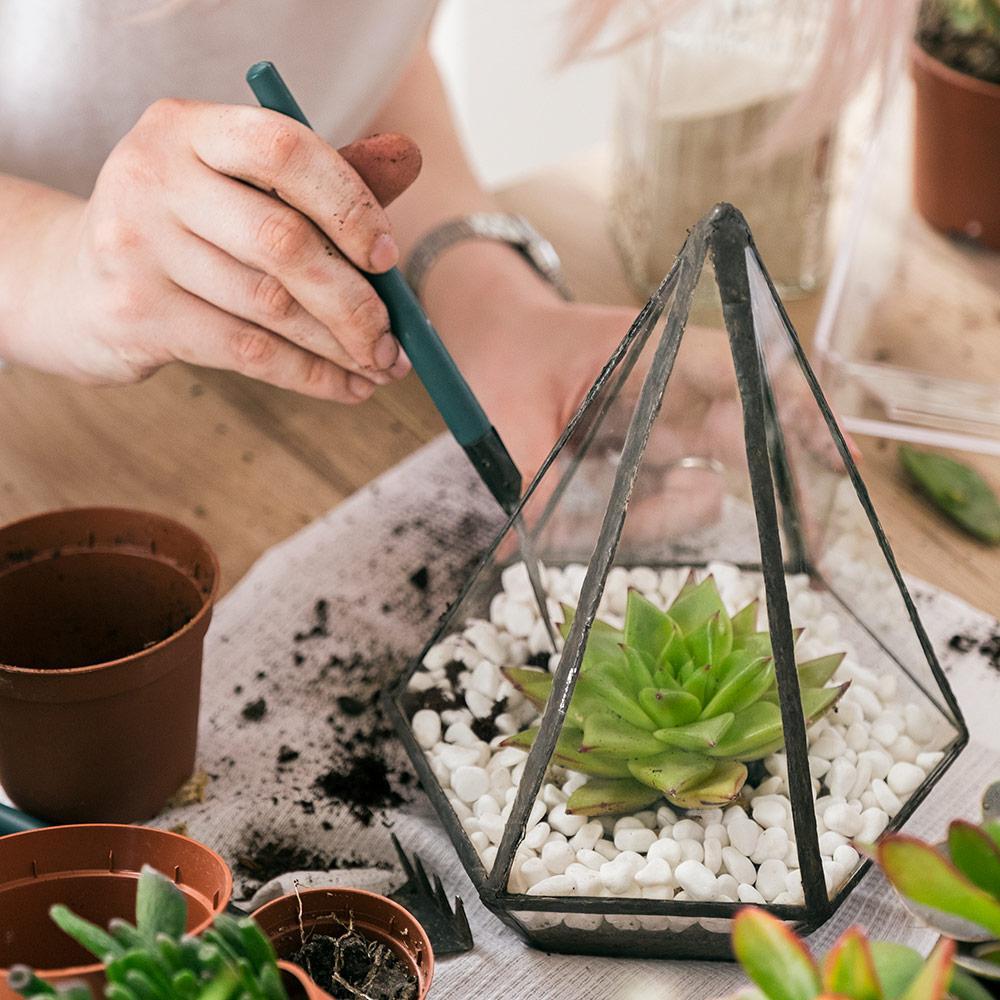 Workshop: Build your own terrarium