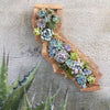Redwood California Kit