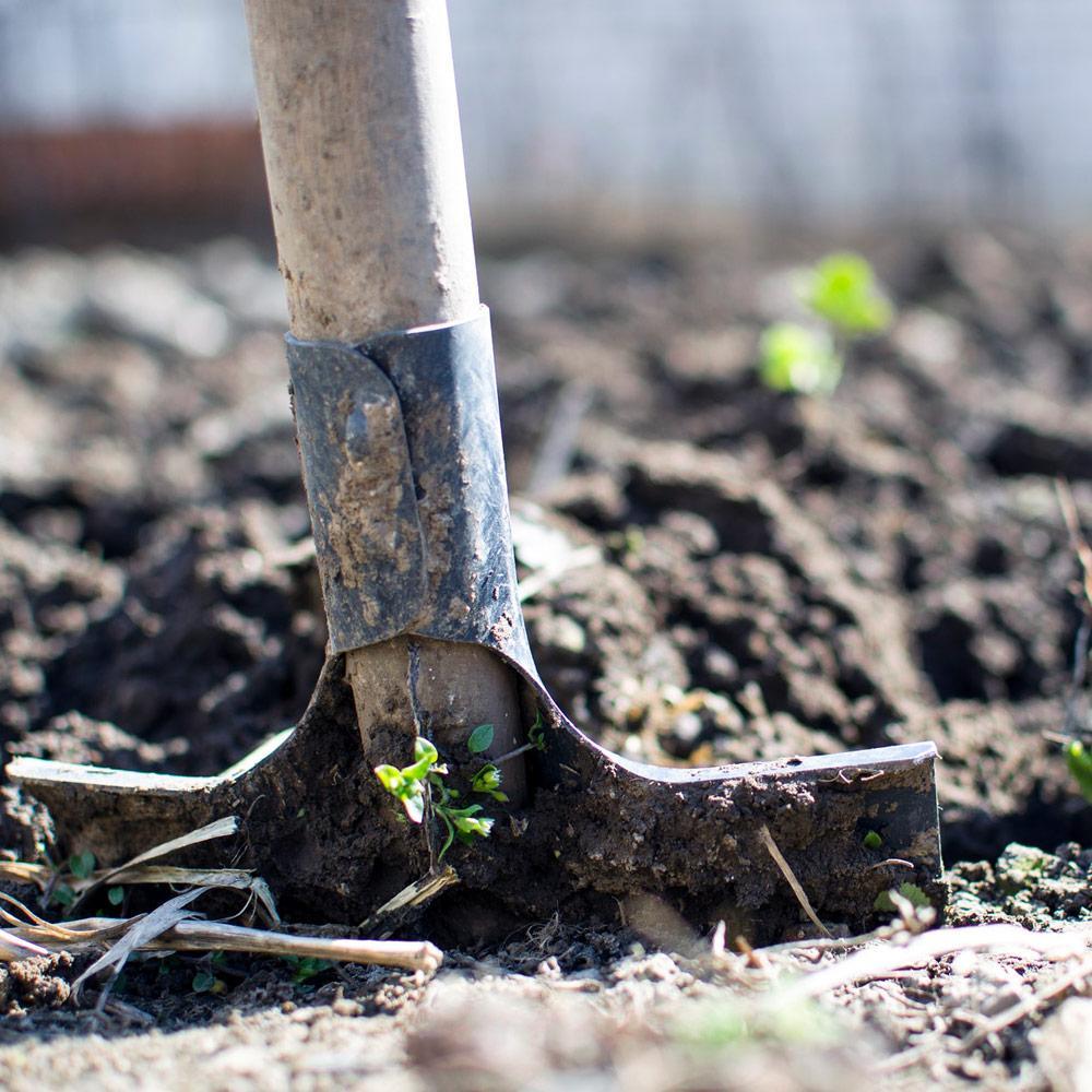 Workshop: Starting your Home Garden