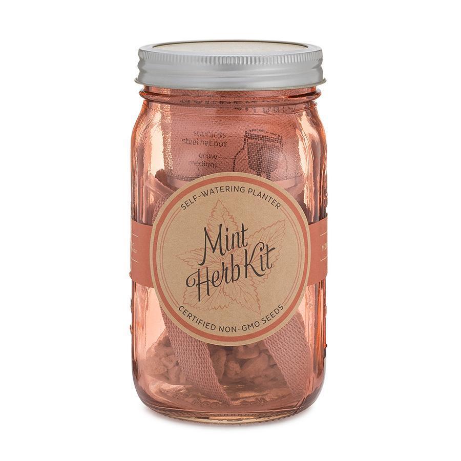 Garden Jars - Asian Herb Kit