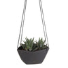 Geo Succulents Hanging Planter