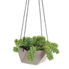 Geo Succulents Hanging Planter
