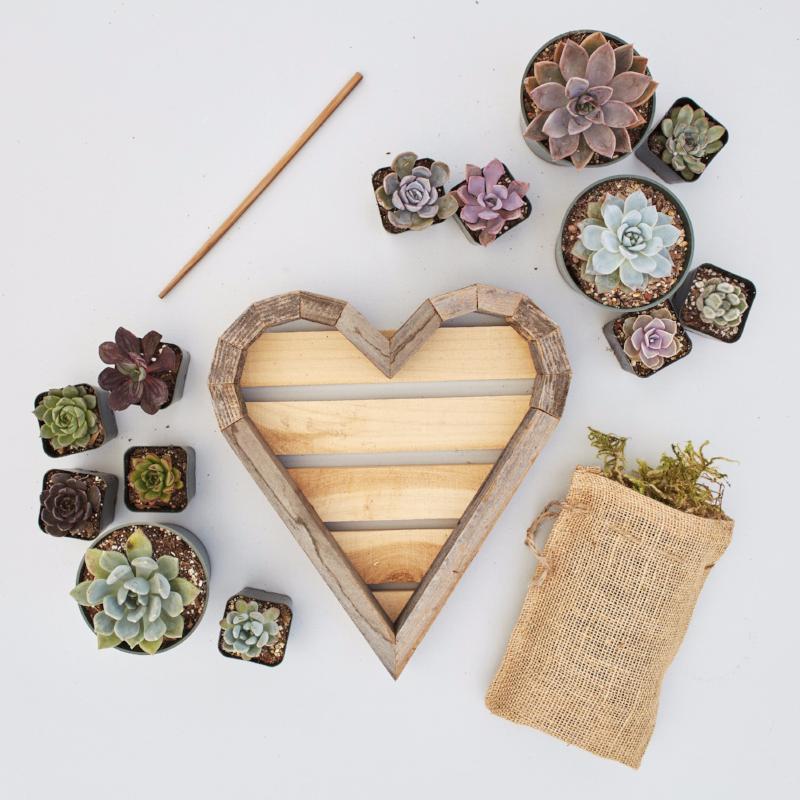 Redwood Succulent Heart Kit