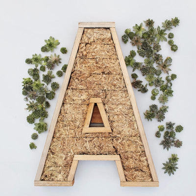 Redwood Large Letter Kit