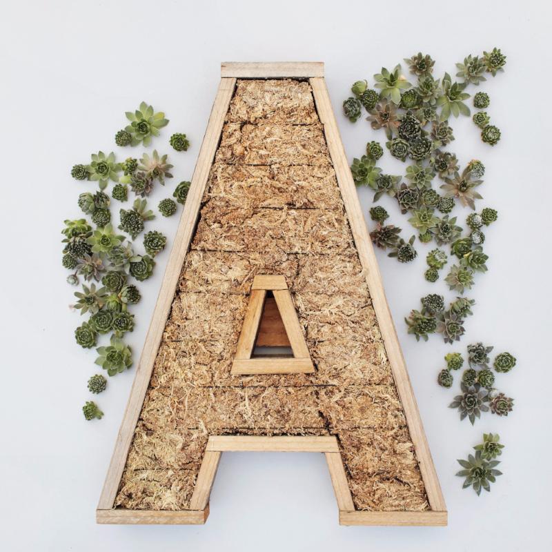 Redwood Large Letter Kit