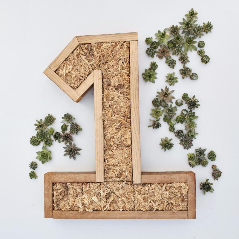 Redwood Large Number Kit