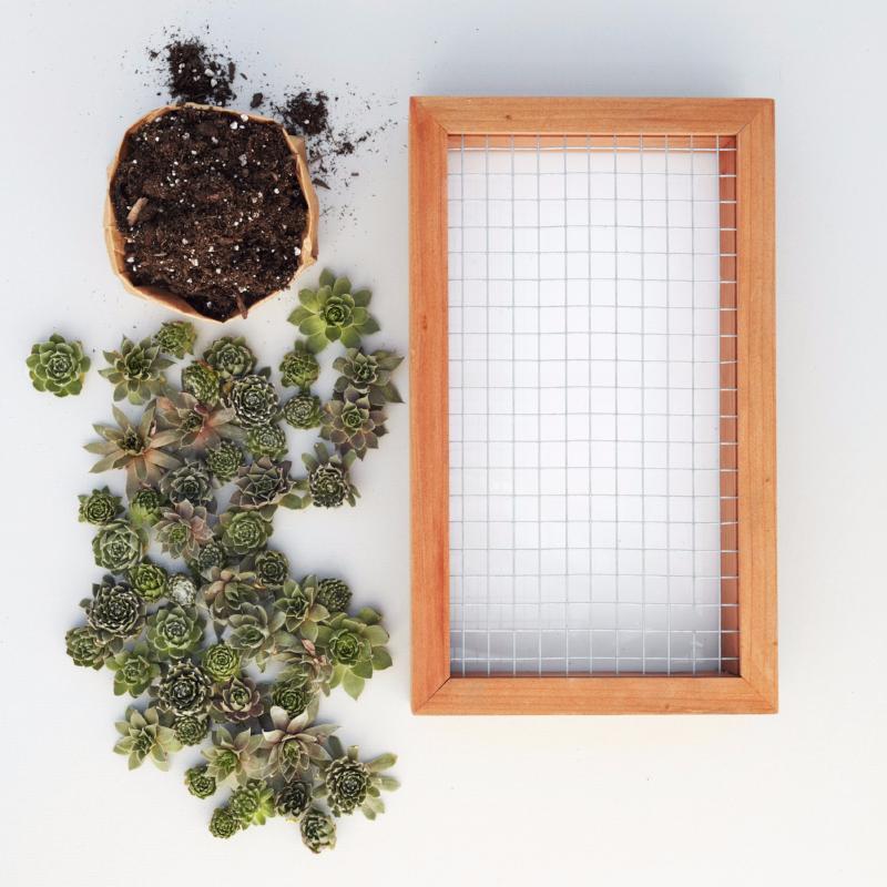 Living Picture Kit