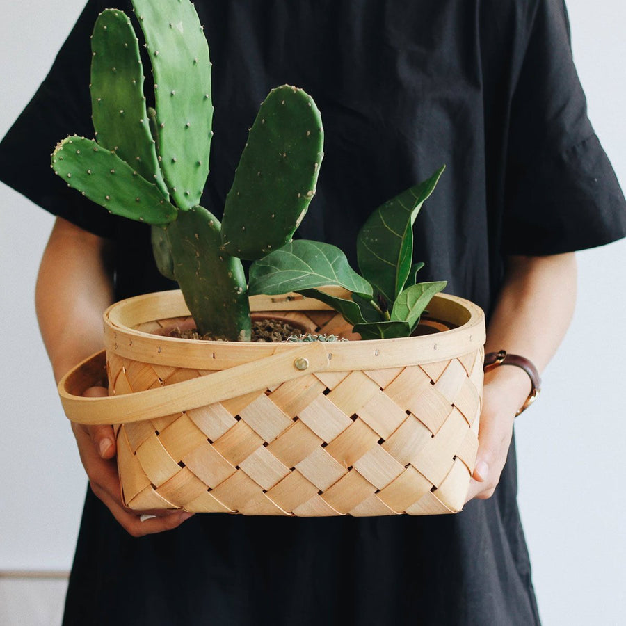Plant Rescue Service