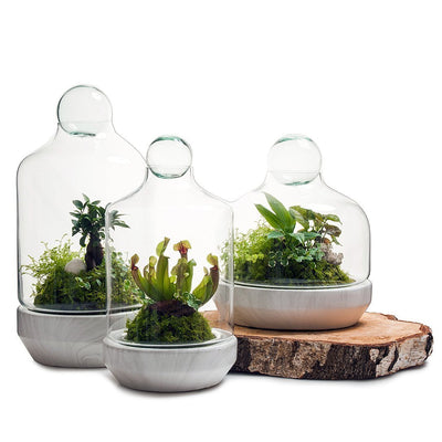 Wooden Rise - Pot Base