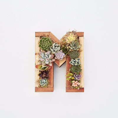 Redwood Small Letter Kit
