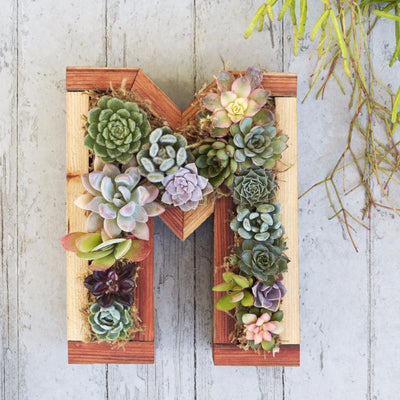 Redwood Small Letter Kit
