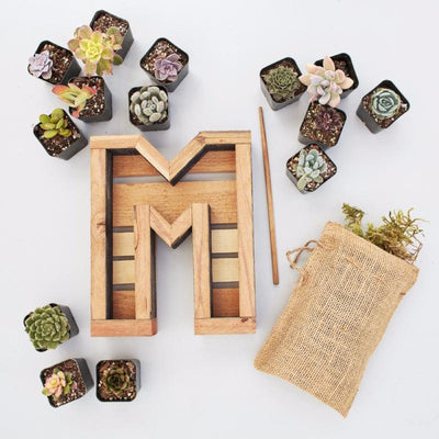 Redwood Small Letter Kit
