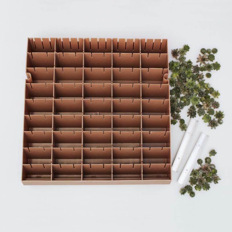 Modular Living Wall Panel Kit