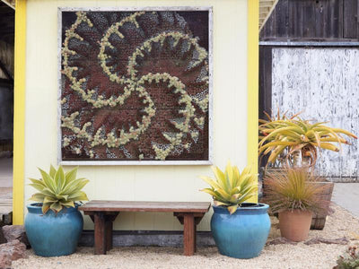 Modular Living Wall Panel Kit